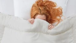 Dekbed Bovenste Beste Wol 4-seizoenen -Beddengoed Winkel Dekbed Bovenste Beste wol 4 seizoenen 2