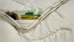 Dekbed Bovenste Beste Wol 4-seizoenen -Beddengoed Winkel Dekbed Bovenste Beste wol 4 seizoenen 3