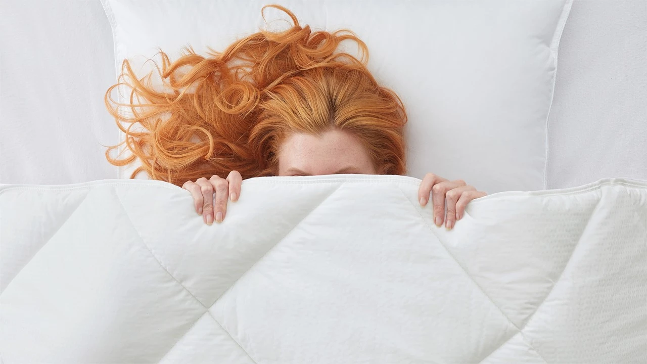 Dekbed Climate Control 5 Dekbed Climate Control - Afbeelding 3