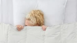 Dekbed Puurnatuur Wol 4-seizoenen -Beddengoed Winkel Dekbed Puurnatuur wol 4 seizoenen 2