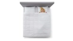 Beddengoed Winkel -Beddengoed Winkel Dekbed Select 15 dons 4 seizoenen 1