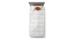 Beddengoed Winkel -Beddengoed Winkel Dekbed Superieur 90 dons zomer 1