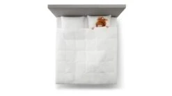 Beddengoed Winkel -Beddengoed Winkel Dekbed Taurus 90 dons 4 seizoenen 1