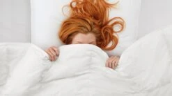 Dekbed Taurus 90% Dons 4-seizoenen -Beddengoed Winkel Dekbed Taurus 90 dons 4 seizoenen 2