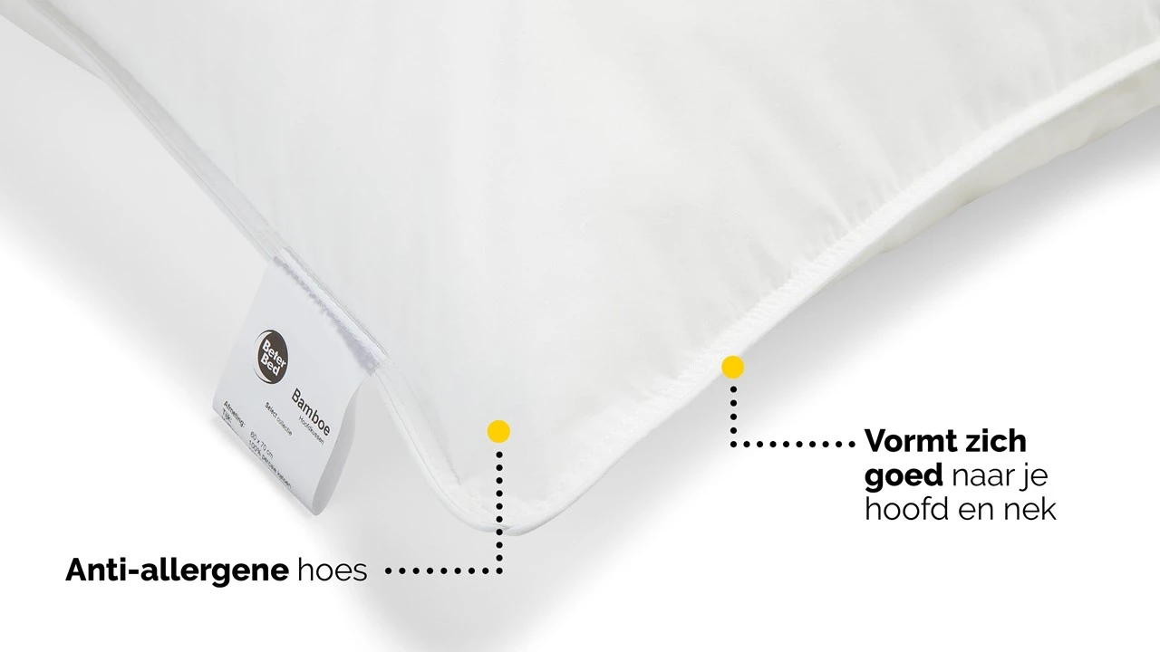 Hoofdkussen B Bright Bamboe 6 Hoofdkussen B Bright Bamboe - Afbeelding 4