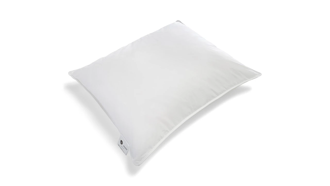 Hoofdkussen B Bright Bamboe 3 Hoofdkussen B Bright Bamboe