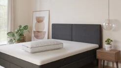 Hoofdkussen Emma Cloud 8 Hoofdkussen Emma Cloud -Beddengoed Winkel Hoofdkussen Cloud 1