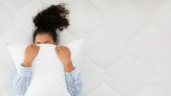 Hoofdkussen Dauna Soft Budget 9 Hoofdkussen Dauna Soft Budget -Beddengoed Winkel Hoofdkussen Dauna soft budget 1