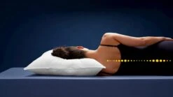 Hoofdkussen Dauna Soft Budget 10 Hoofdkussen Dauna Soft Budget -Beddengoed Winkel Hoofdkussen Dauna soft budget 2