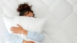 Hoofdkussen Dauna Soft Luxe 9 Hoofdkussen Dauna Soft Luxe -Beddengoed Winkel Hoofdkussen Dauna soft luxe 1