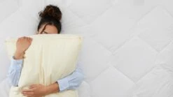 Hoofdkussen First Kapok 9 Hoofdkussen First Kapok -Beddengoed Winkel Hoofdkussen First Kapok 1