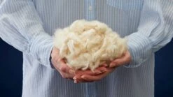 Hoofdkussen B Bright Kapok 8 Hoofdkussen B Bright Kapok -Beddengoed Winkel Hoofdkussen Kapok