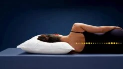 Hoofdkussen Pure Basic -Beddengoed Winkel Hoofdkussen Pure basic 2