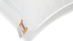 Hoofdkussen Pure Basic -Beddengoed Winkel Hoofdkussen Pure basic 3