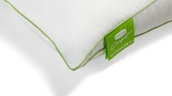 Hoofdkussen Silvana Comfort Groen -Beddengoed Winkel Hoofdkussen Silvana Comfort Groen 3