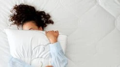 Hoofdkussen Silvana Support Royale Groen -Beddengoed Winkel Hoofdkussen Silvana Support Royale groen groen 1