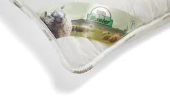 Hoofdkussen Soezzz Perfection Deluxe 11 Hoofdkussen Soezzz Perfection Deluxe -Beddengoed Winkel Hoofdkussen Soezzz Perfection Deluxe off white 3