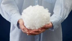 Hoofdkussen Dauna Soft Budget 12 Hoofdkussen Dauna Soft Budget -Beddengoed Winkel Hoofdkussen White box 28