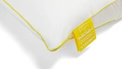 Neksteunkussen Silvana Support Cristal 10 Neksteunkussen Silvana Support Cristal -Beddengoed Winkel Neksteunkussen Silvana Support Cristal 3